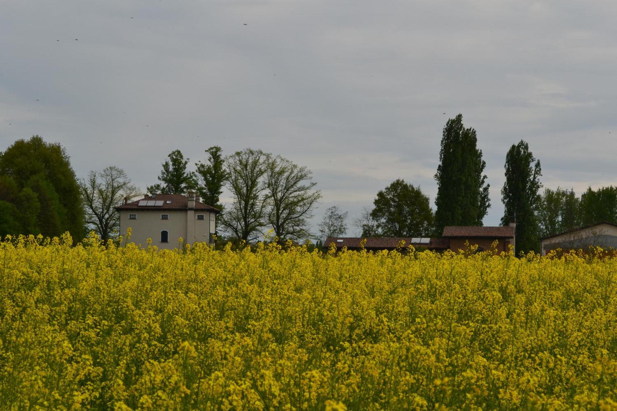 Villa Monteborre à Cento  Extérieur photo